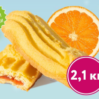ЛАПОЧКИ (Апельсин) 2,1кг Триумф печенье