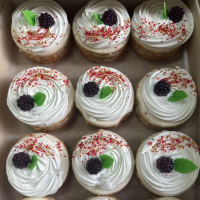 ЕЖЕВИКА 2,5кг Сопкалов пирожное