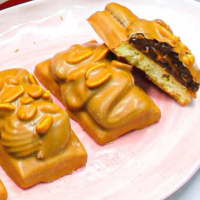 СТЕП 2,5кг (вар.сгущенка и арахис в глазури) печенье Сл.Фантазия